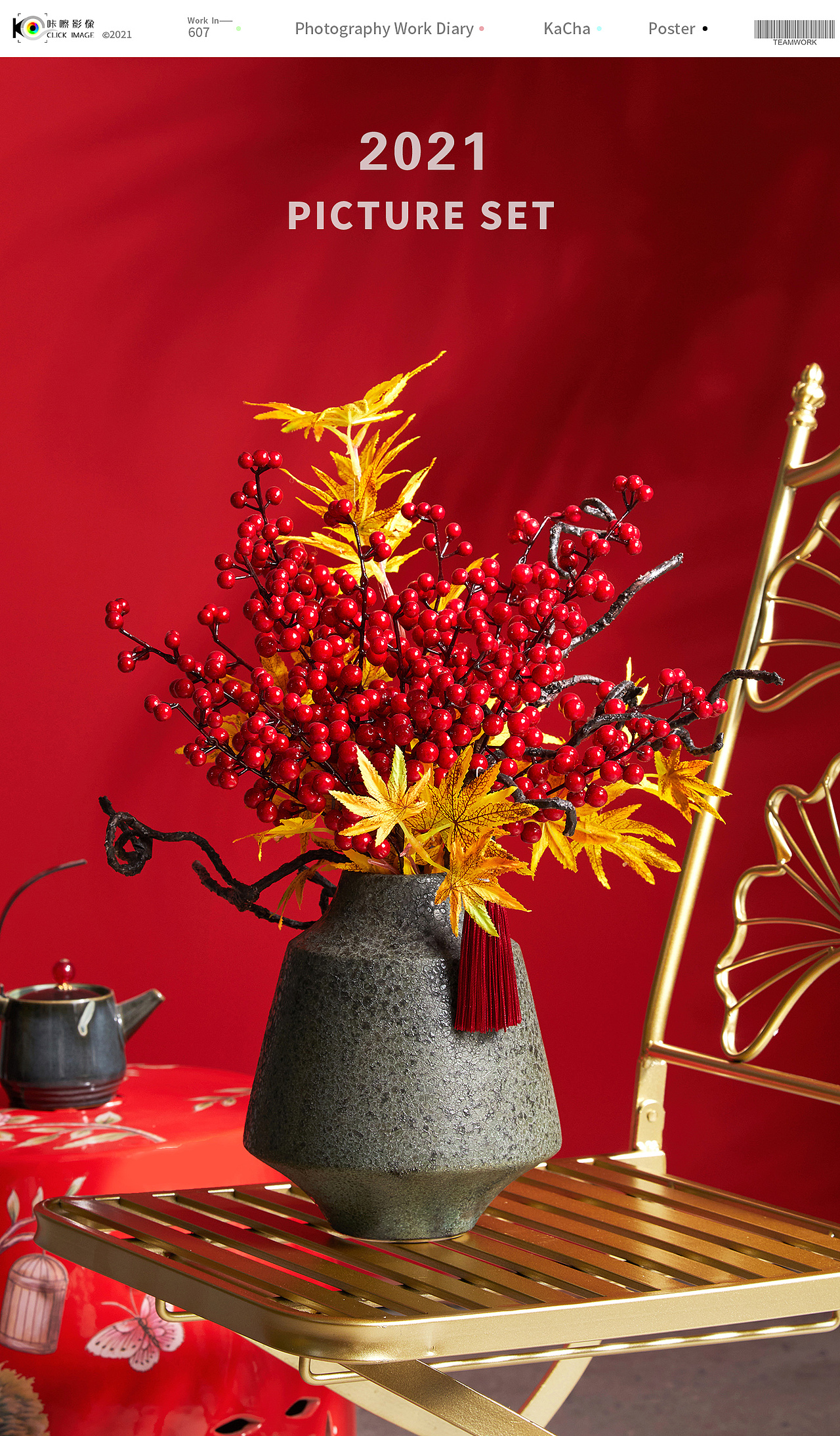 电商产品摄影/喜庆年宵花拍摄/红果银柳