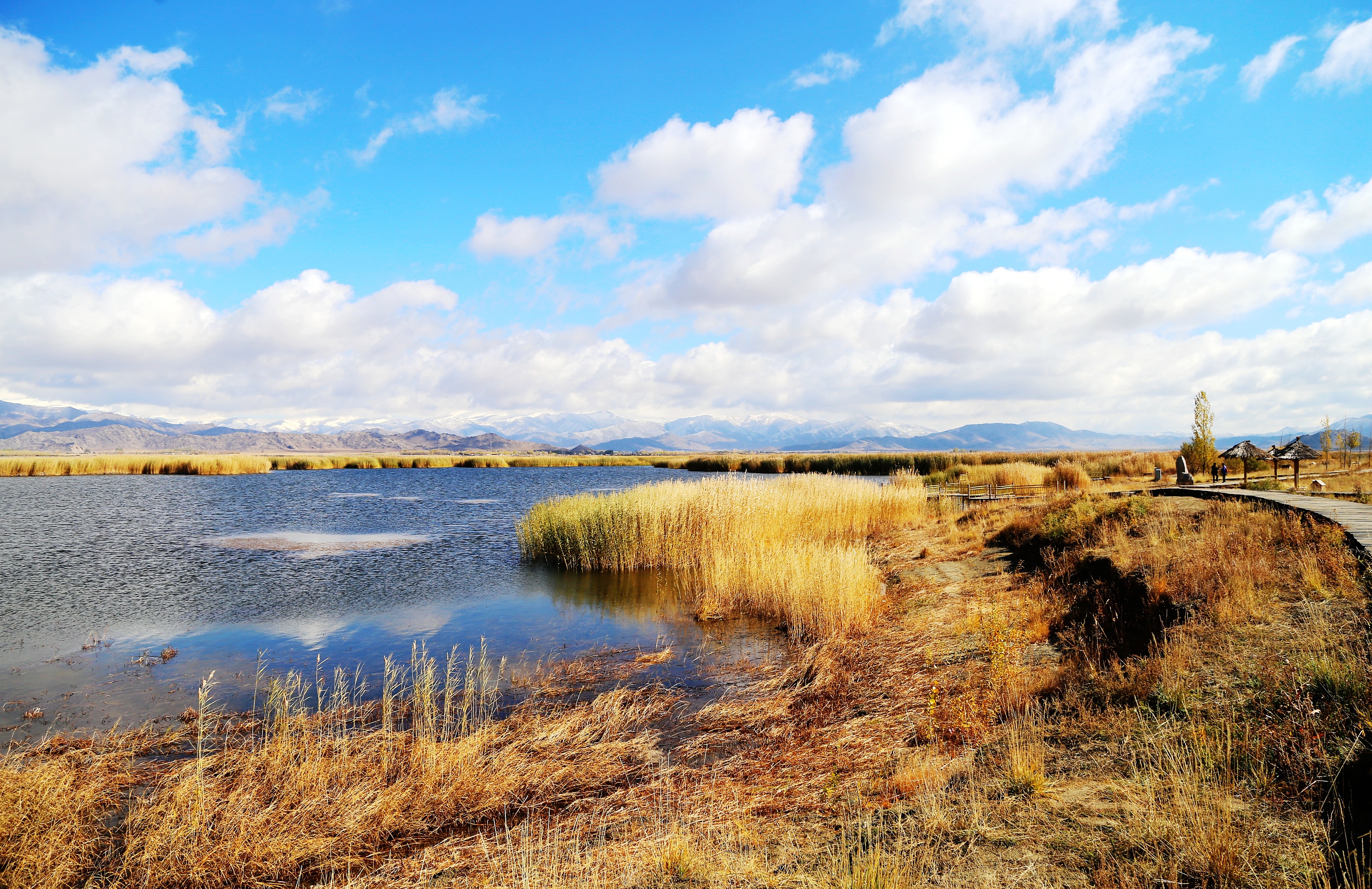 新疆富蕴可可托海秋韵