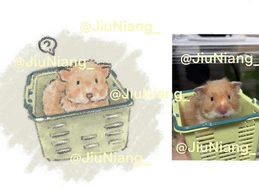 你也想来一筐鼠鼠吗?♪( ´▽`)