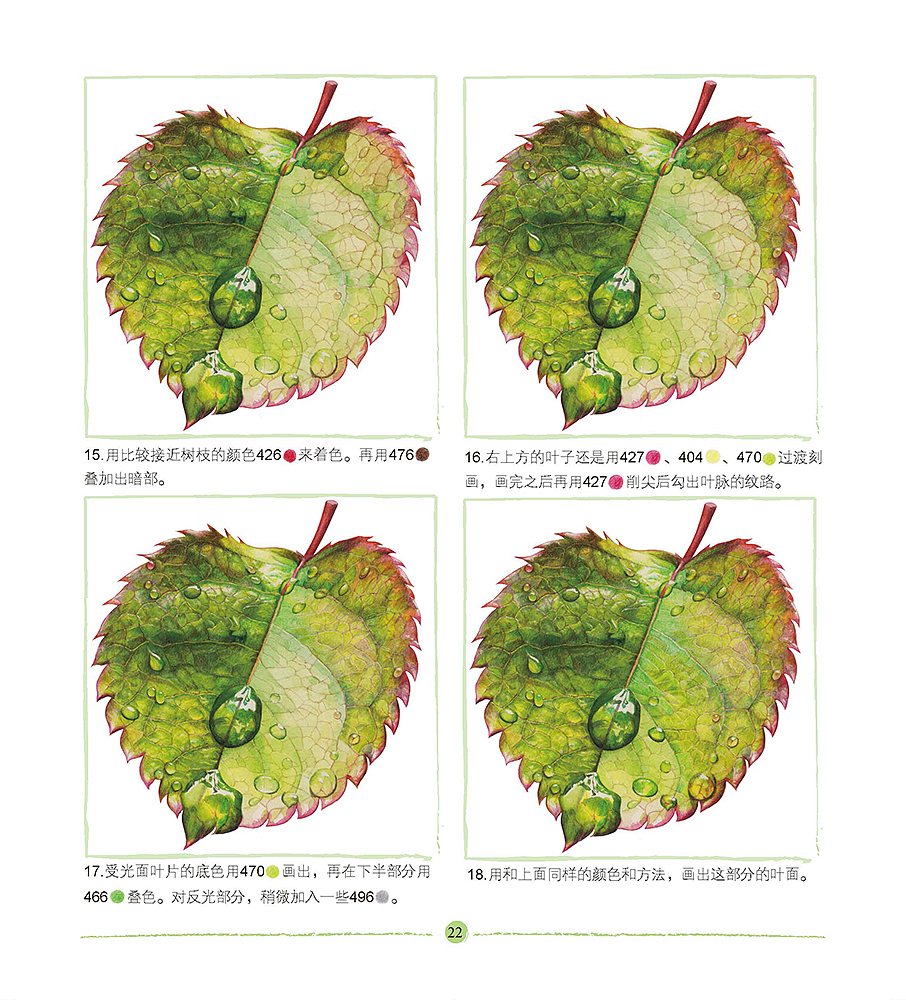 露珠与树叶的画法