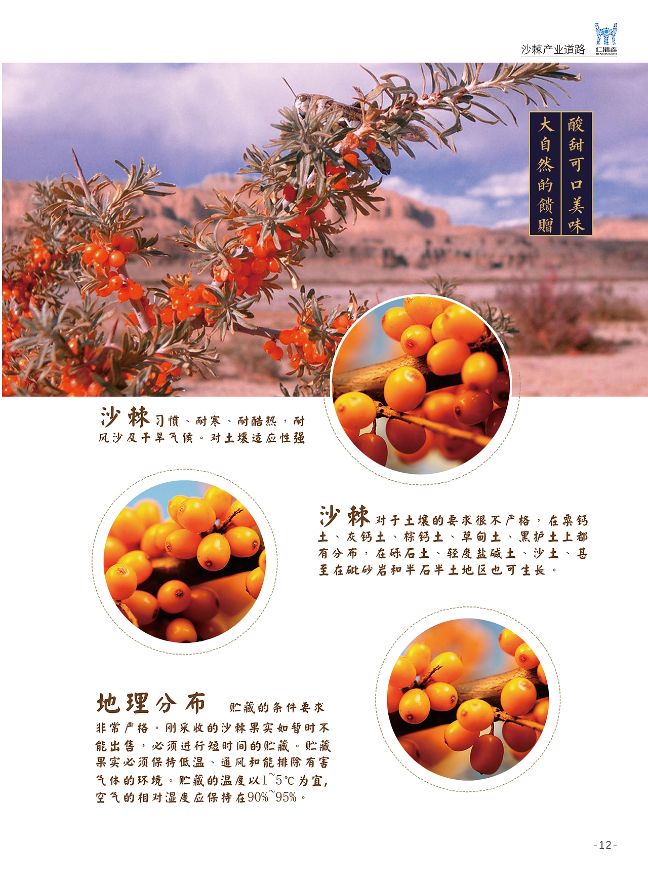 整套商业介绍产品宣传（图ZMTcyNTQ5NTM2） - 书籍/画册 - 站酷设计师情书泛黄原创素材 - 站酷ZCOOL