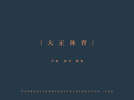 《大正击剑》画册宣传册