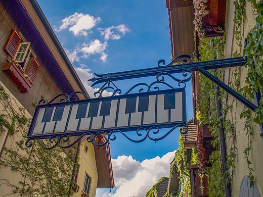 随拍日记（二）