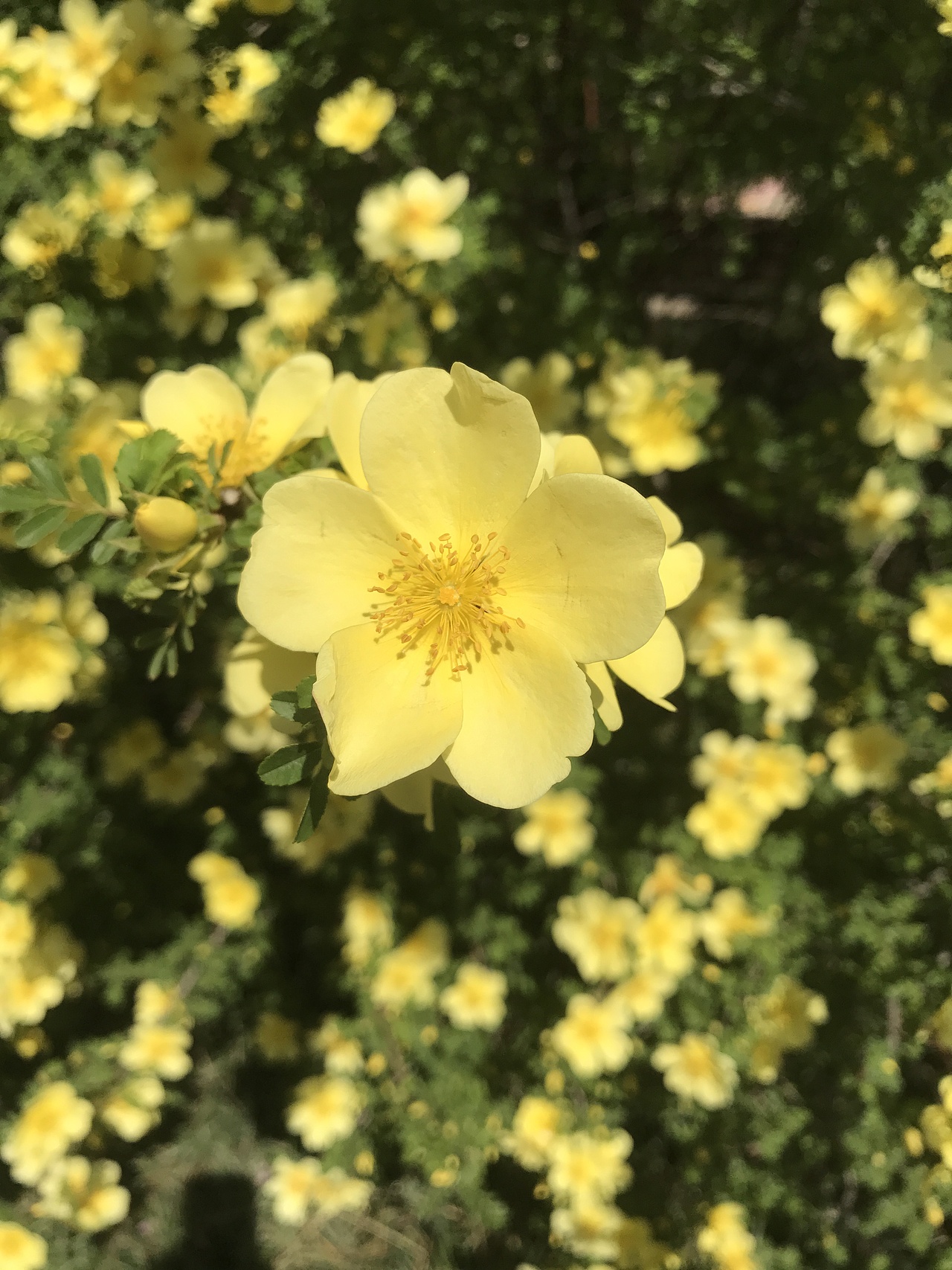 随手拍，治愈风景