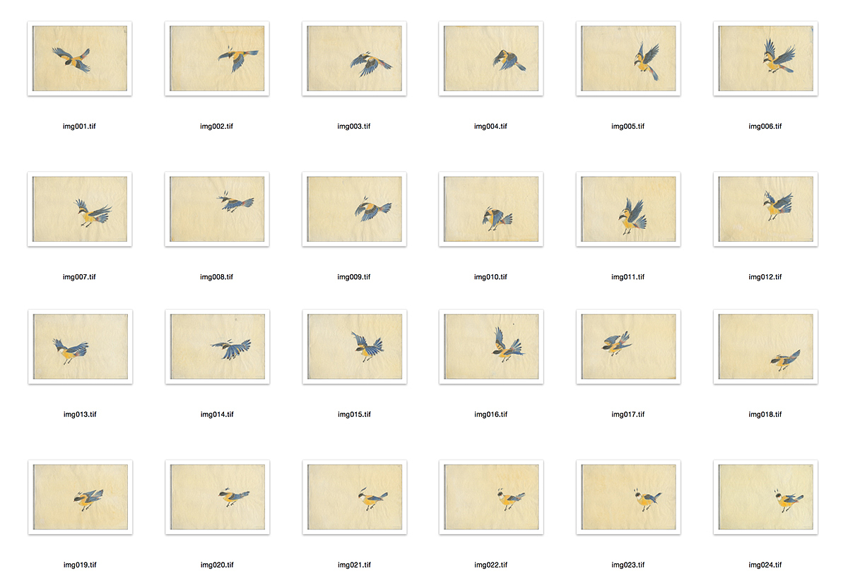 （by 老三）派格元年（2011-2012）（圖ZMzk0MTY3MDA=） - 藝術插畫 - 站酷設計師老三叁原創(chuàng)素材 - 站酷ZCOOL