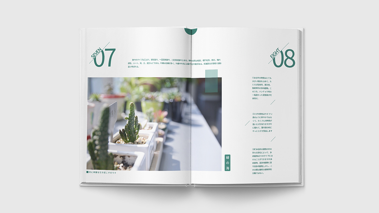 画册（图ZMTcyNzQ2MjA4） - 书籍/画册 - 站酷设计师CAONEZERO原创素材 - 站酷ZCOOL