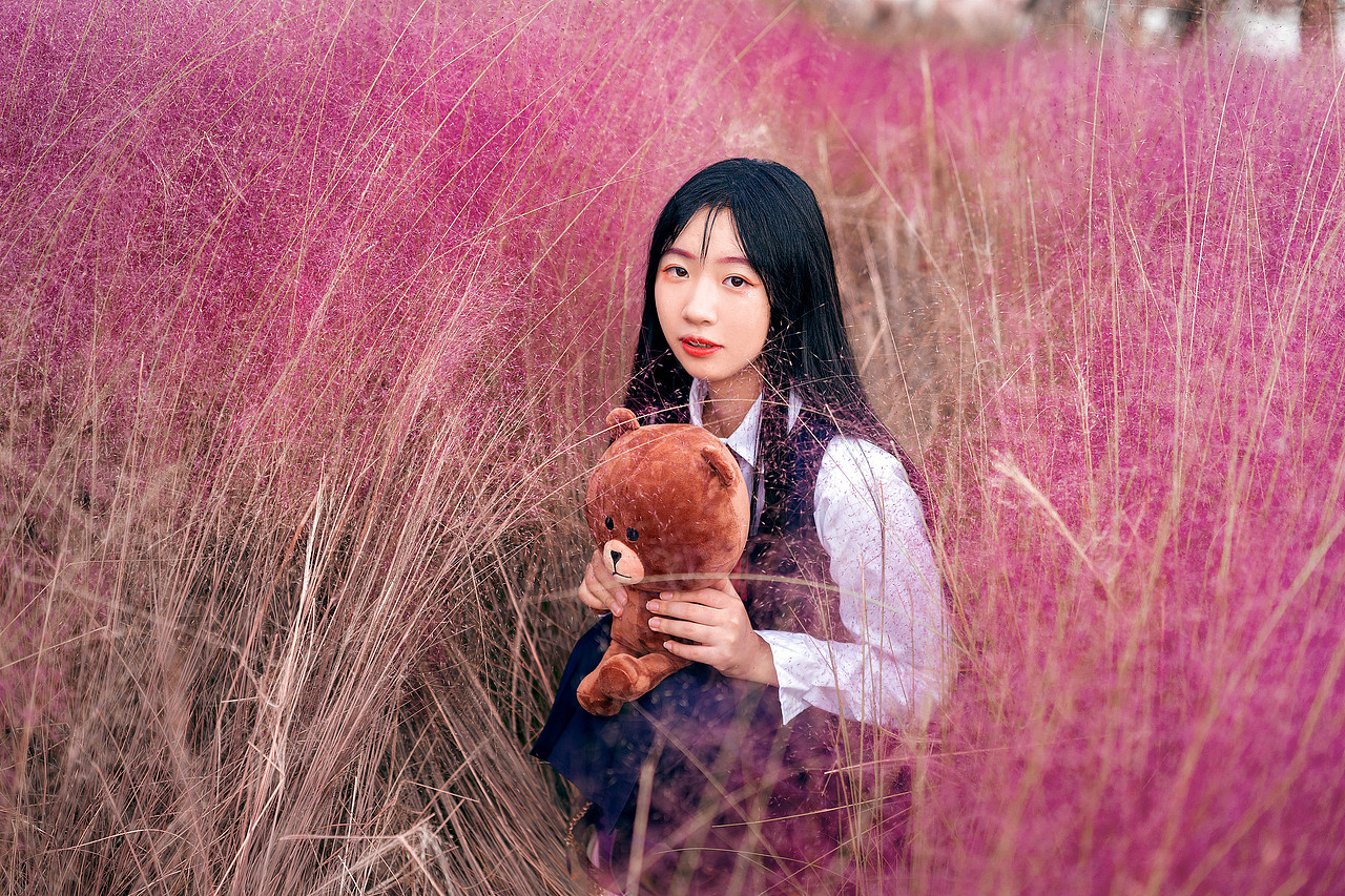 【酱油猫】江心洲粉黛花丛、江岸、JK