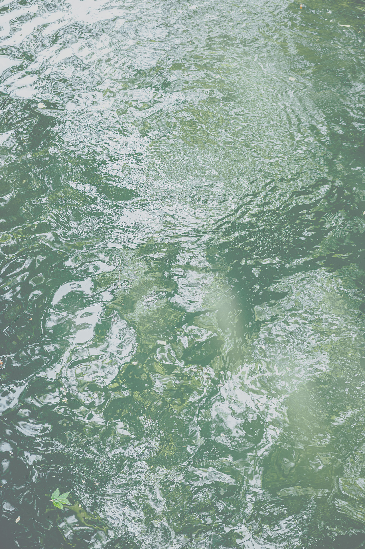 七里山塘街随拍（图ZMzA5ODk2MzMy） - 风光摄影 - 站酷设计师摄影师禧龙猫原创素材 - 站酷ZCOOL