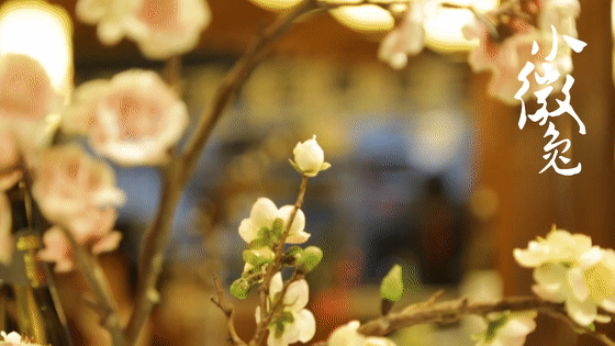 【3分钟软广告极速出片】美食·餐饮