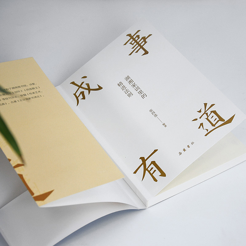 《成事有道:湖湘家训里的精进法则》