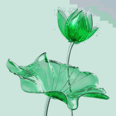 C4D含苞待放的荷花、荷花莲花盛开动画