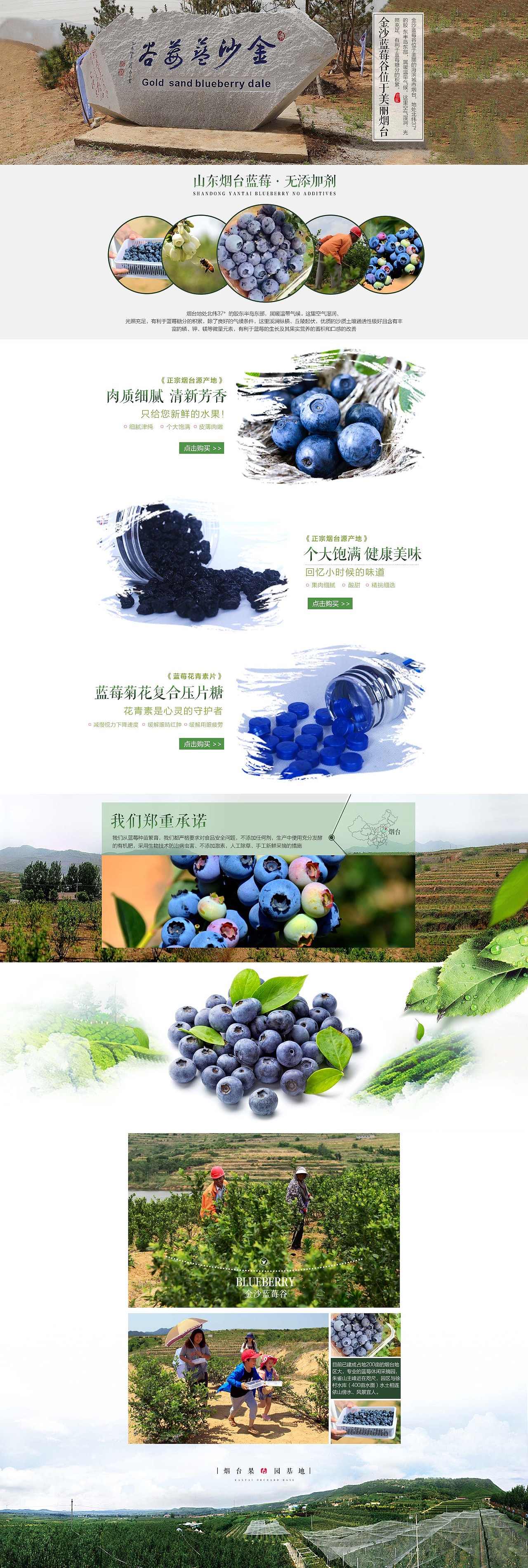 淘寶天貓藍(lán)莓首頁設(shè)計(jì)（圖ZODMzNjM3ODQ=） - 其他網(wǎng)頁 - 站酷設(shè)計(jì)師嗯哼嗯哼哦耶原創(chuàng)素材 - 站酷ZCOOL