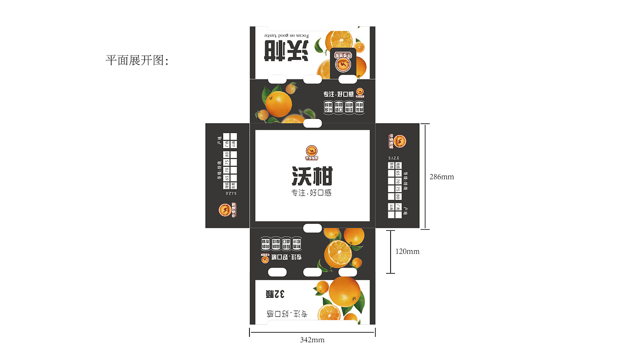 精品橘子包装设计|平面|包装|石倩o - 原创作品 - 站酷 (zcool)