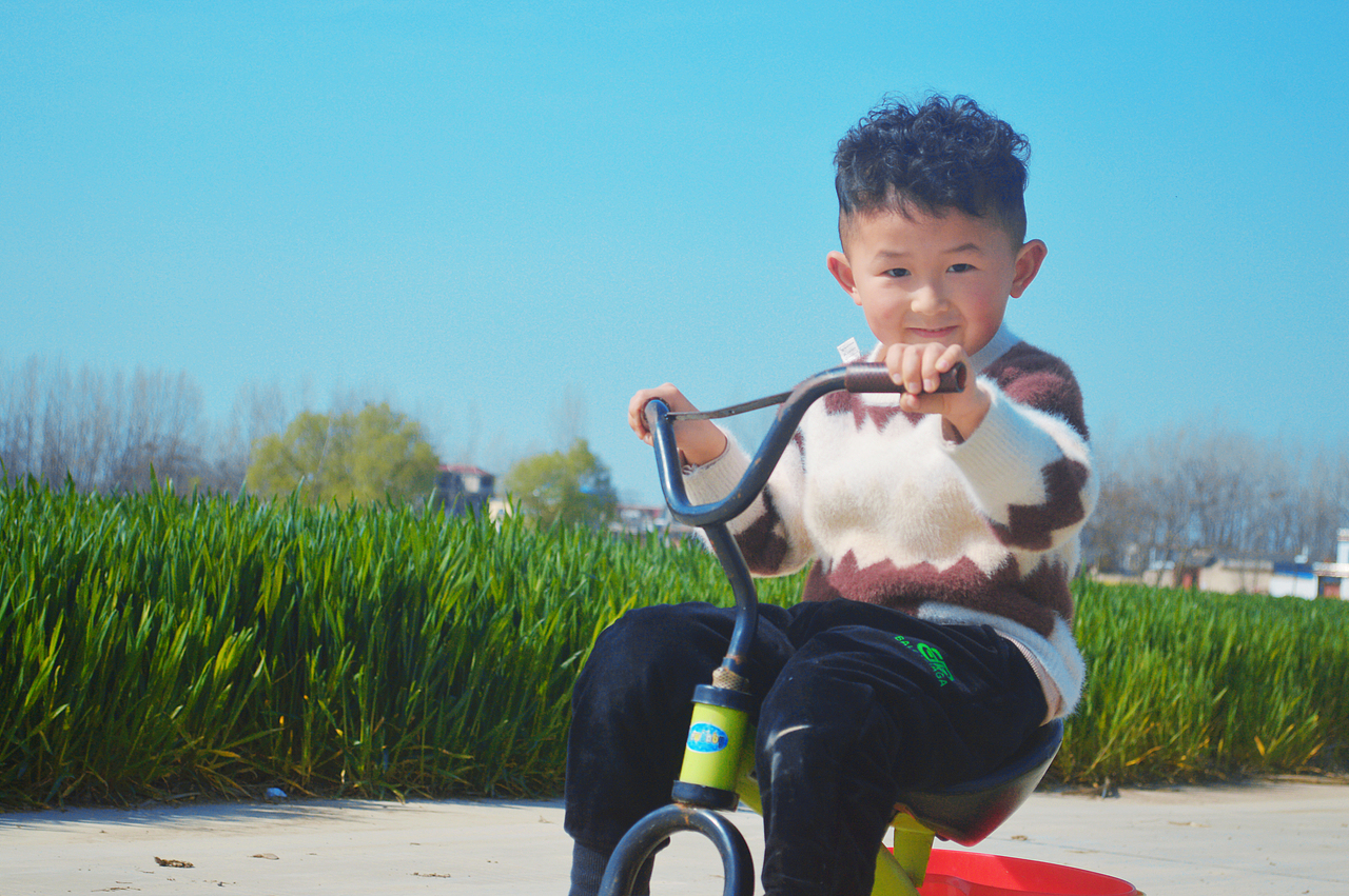 油菜花的季节+1