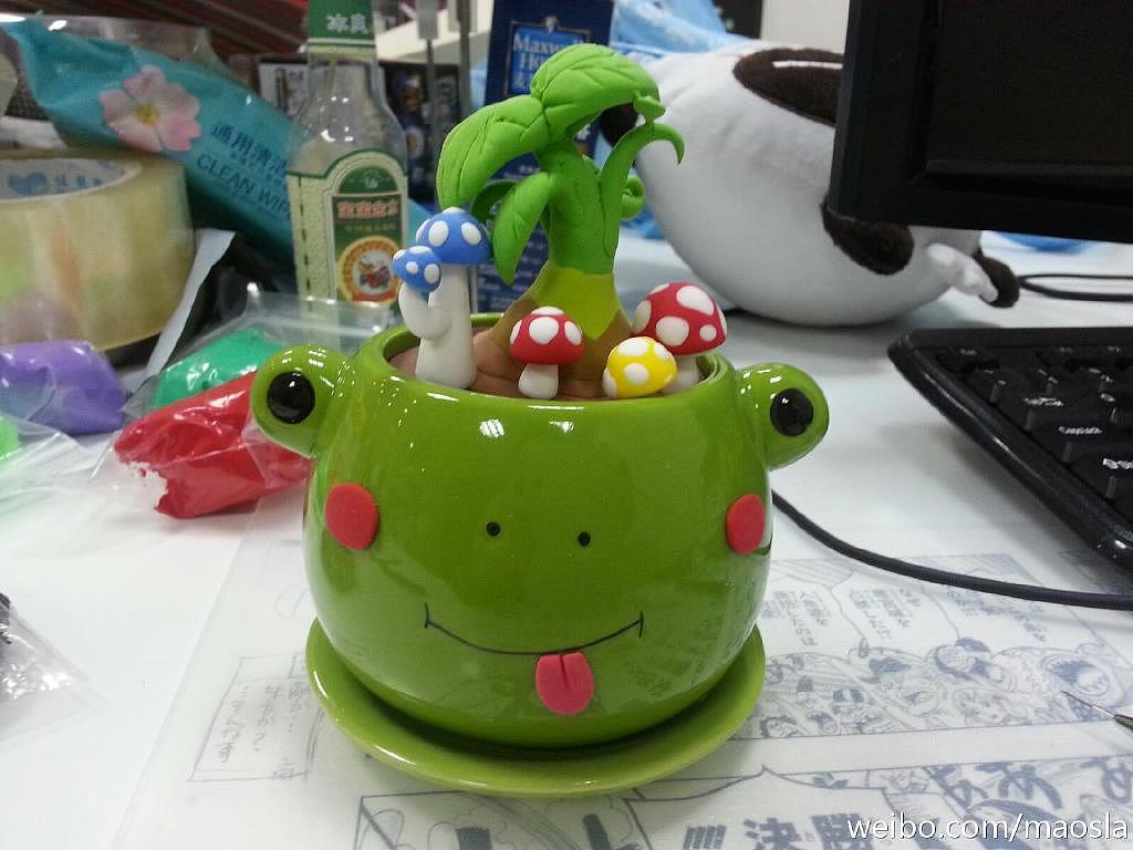 朋友送的小青蛙花盆~然后我并不会种花
