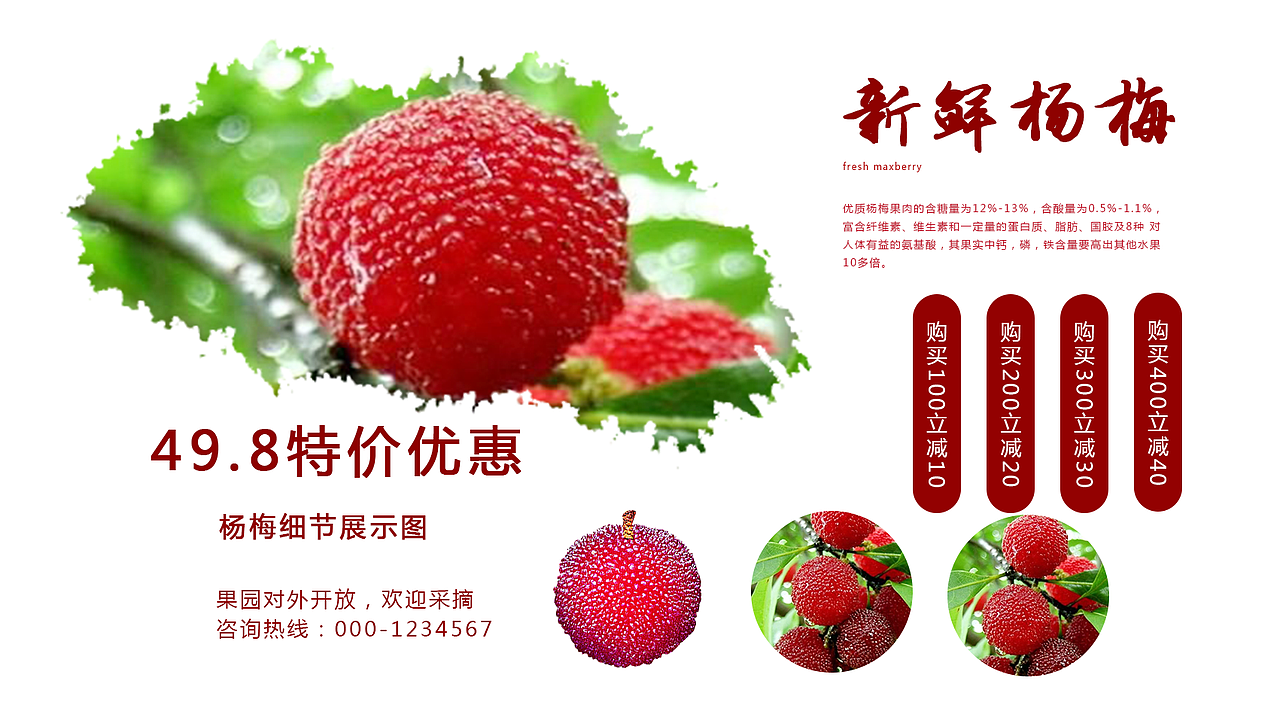 杨梅（图ZODc1MDgzNzY=） - 海报 - 站酷设计师RYLworkset原创素材 - 站酷ZCOOL