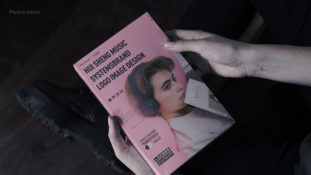 慧声音改品牌提案设计