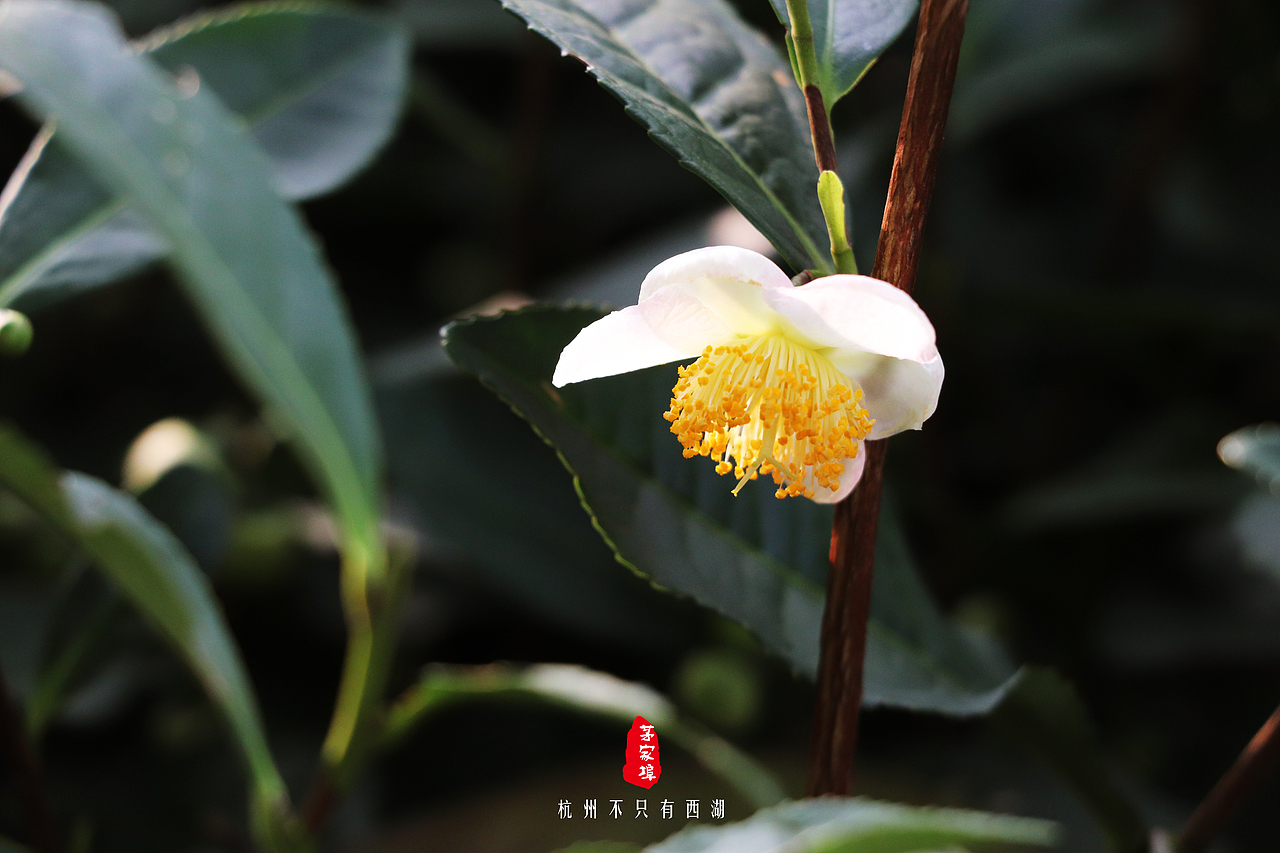 杭州不只有西湖(二)