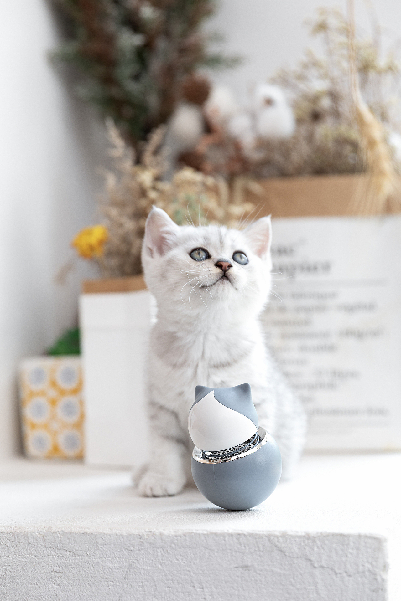 品牌案例丨优贰 猫咪 香薰扩散器（内含橱窗视频）（图ZMTcwMTkxOTY0） - 产品摄影 - 站酷设计师白底图原创素材 - 站酷ZCOOL