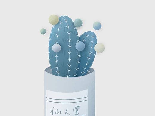 一盆可爱的仙人掌🌵🌵🌵