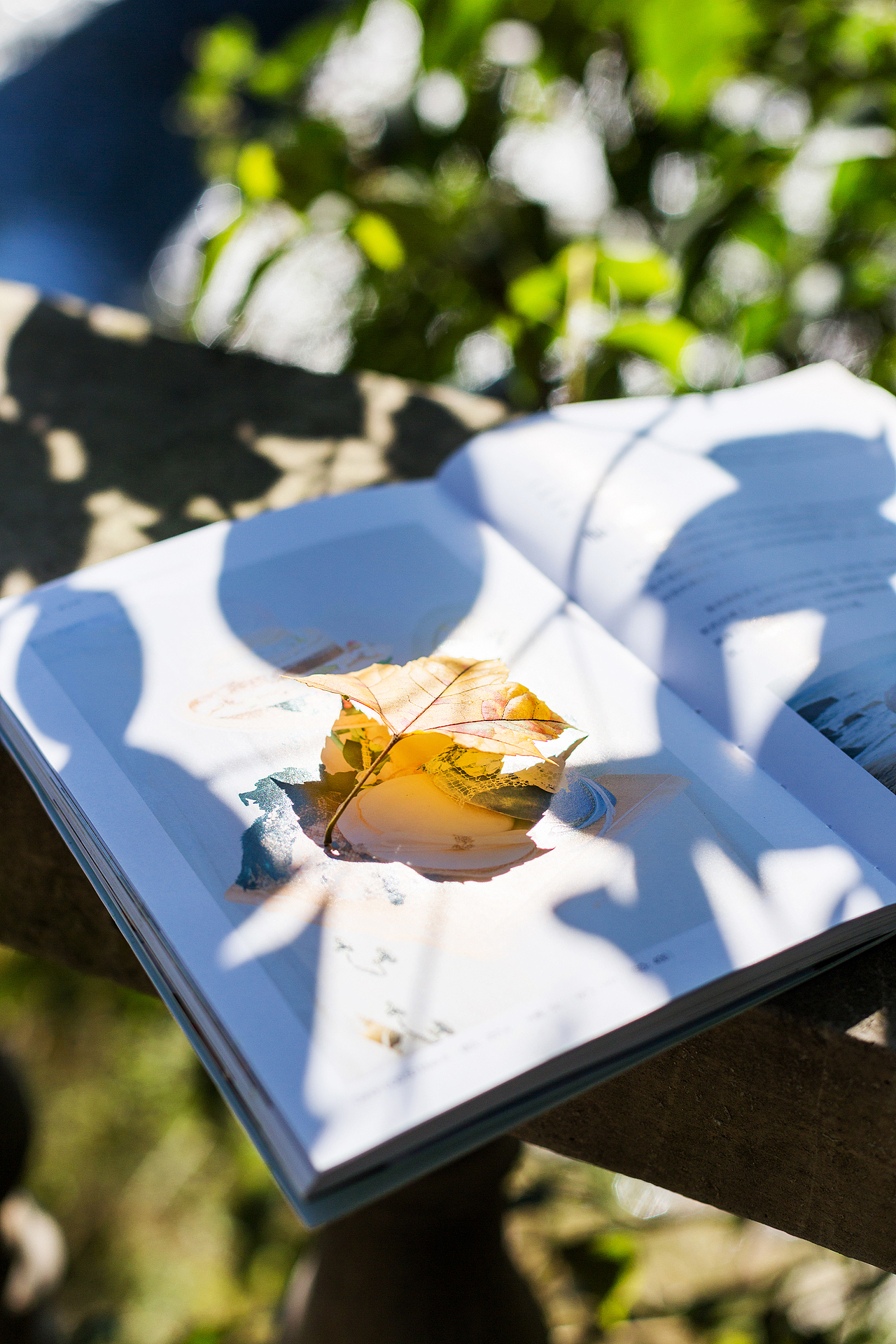 周六 晴（图ZMTM0MjY3MTcy） - 产品摄影 - 站酷设计师十月Me原创素材 - 站酷ZCOOL