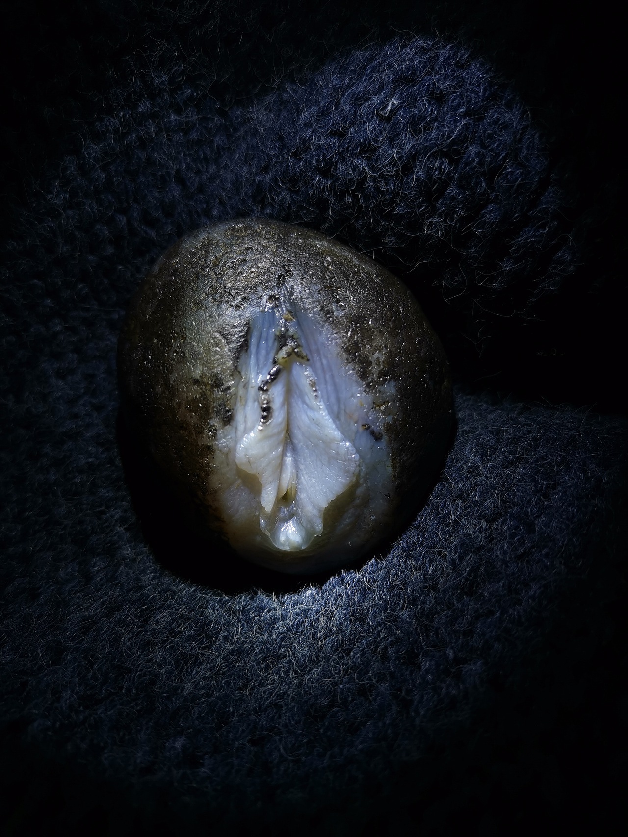 玛瑙生命之源女人花俏色巧雕写实玉雕设计象原玉雕作品