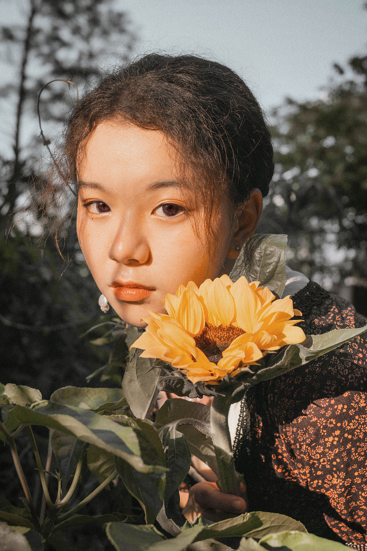 葵花