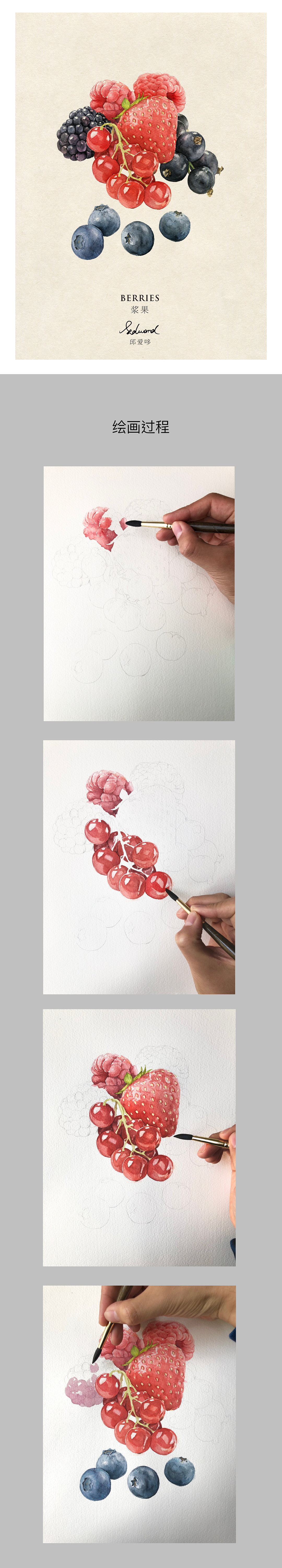 繽紛漿果（圖ZMTk4MDE0MTEy） - 創(chuàng)作習(xí)作 - 站酷設(shè)計(jì)師邱愛哆原創(chuàng)素材 - 站酷ZCOOL