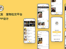 宠友APP