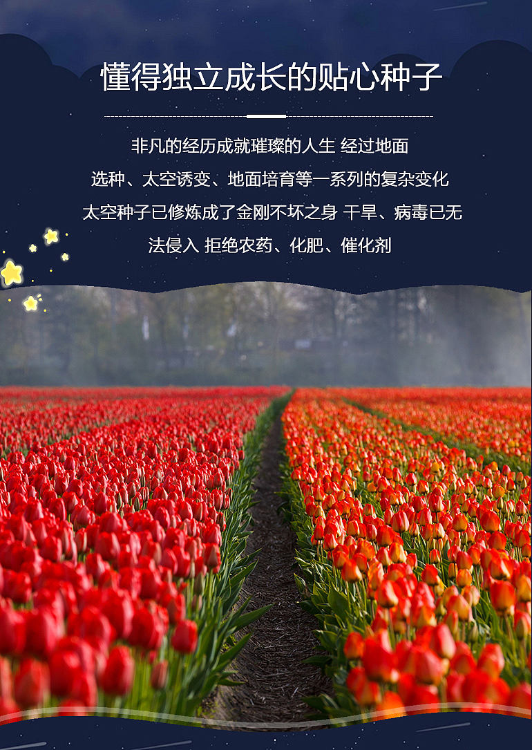 太空种子（图ZODk1NTE5NzY=） - 电商 - 站酷设计师超人奇葩婷宝宝原创素材 - 站酷ZCOOL