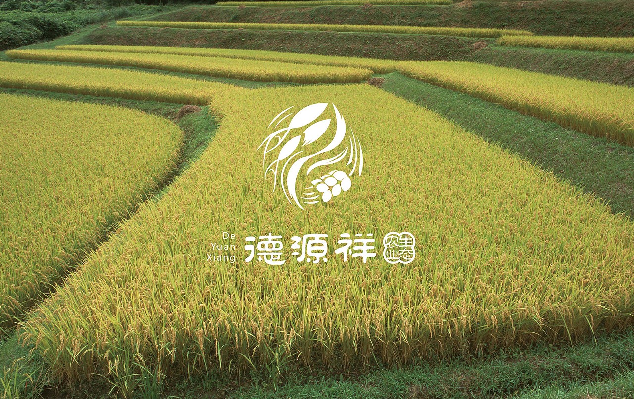 融入“道法自然”的生态农业-武汉莯恩设计