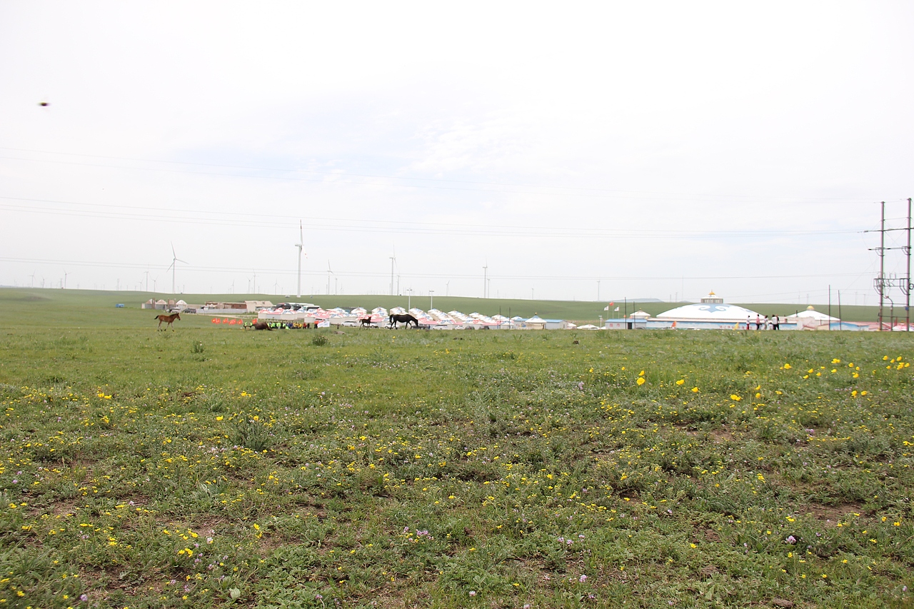 内蒙古草原旅游景色（图ZMjYyMzMzNjA0） - 风光摄影 - 站酷设计师HH个原创素材 - 站酷ZCOOL