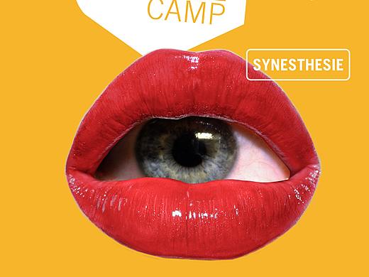 联觉&通感 Synesthesia