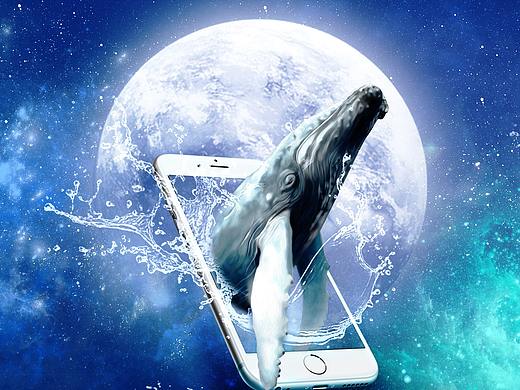 宣传广告海报（个人主页-ZNDI0NzkwMzI=） - 海报 - 站酷设计师FEdistance原创素材 - 站酷ZCOOL