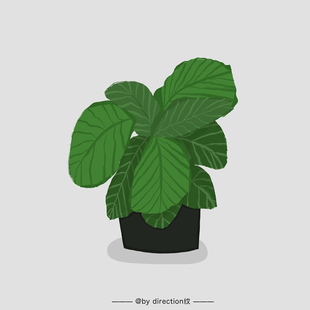 绿植系类|插画|商业插画|邓纹 - 原创作品 - 站酷 (zcool)