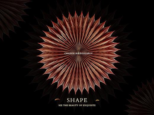 变幻形态#SHAPE