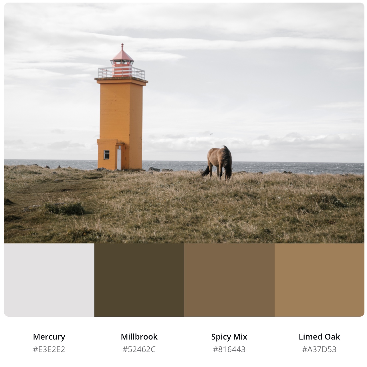 100张秋天配色模板插画为你打包秋日灵感