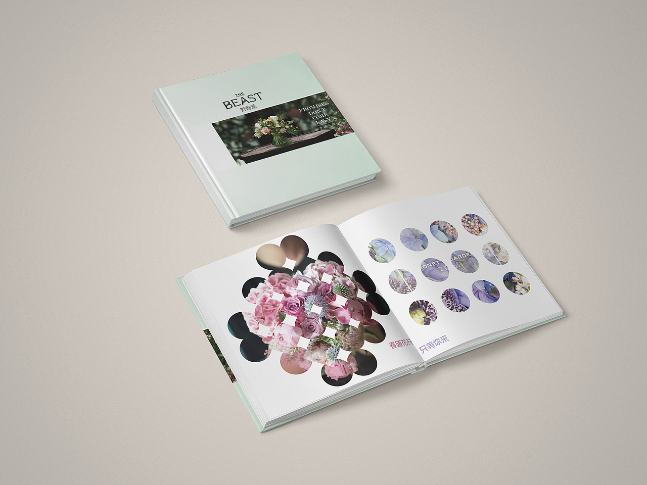 野兽派#画册（图ZNzczMjIxOTI=） - 书籍/画册 - 站酷设计师莹子姑娘原创素材 - 站酷ZCOOL