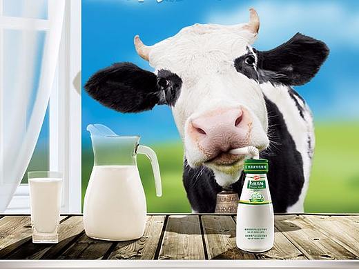 依然在牛奶中打滚~（个人主页-ZMjQ2MTUzMTI=） - 海报 - 站酷设计师斯纳默肉原创素材 - 站酷ZCOOL