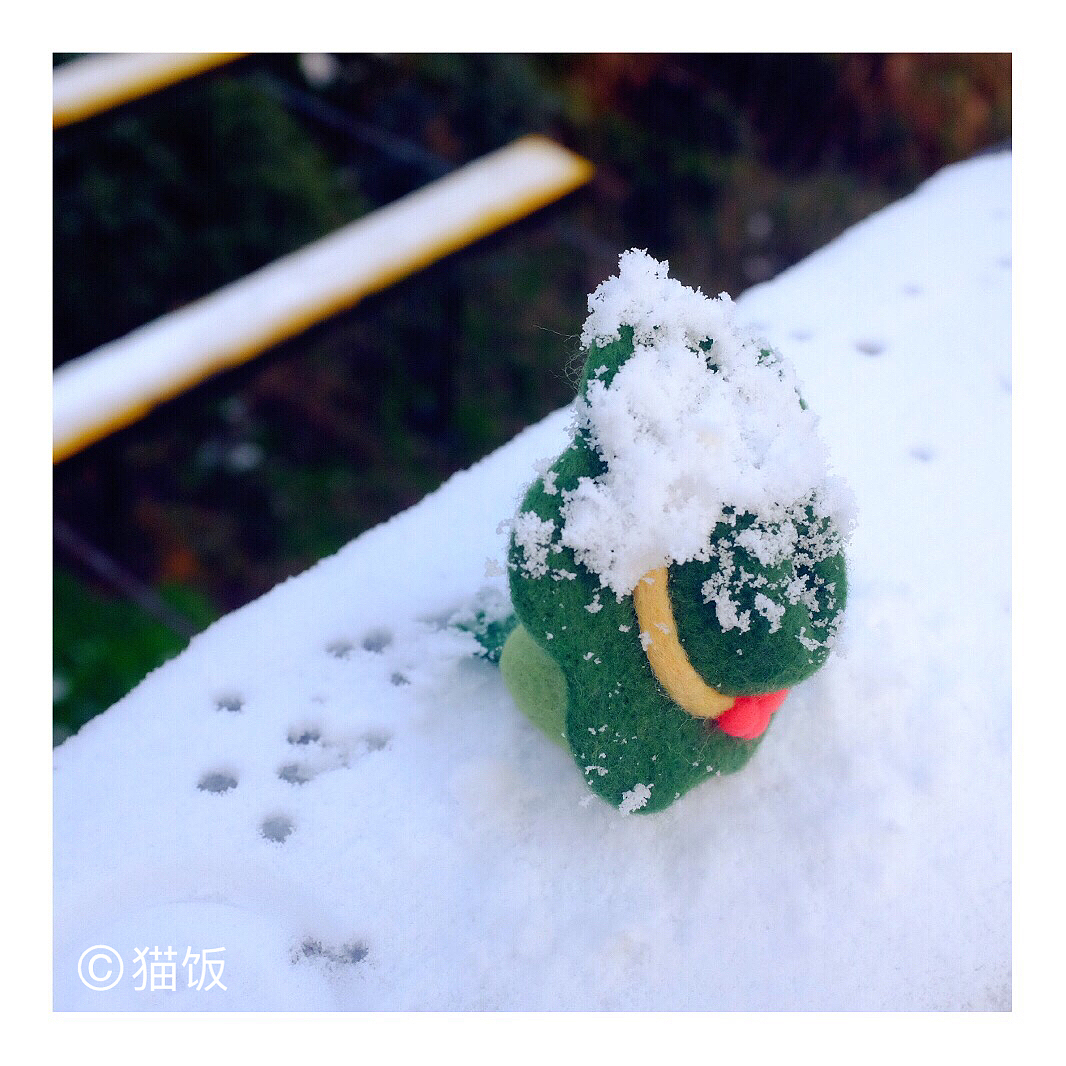 青蛙旅行羊毛毡