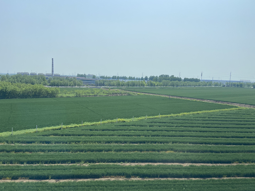 刘勇良手机纪实摄影:初夏