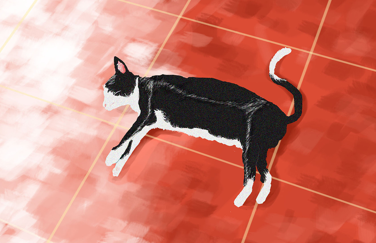 睡懒觉的猫咪（图ZMTE5MzQ2NDE2） - 创作习作 - 站酷设计师画画写字的青音原创素材 - 站酷ZCOOL
