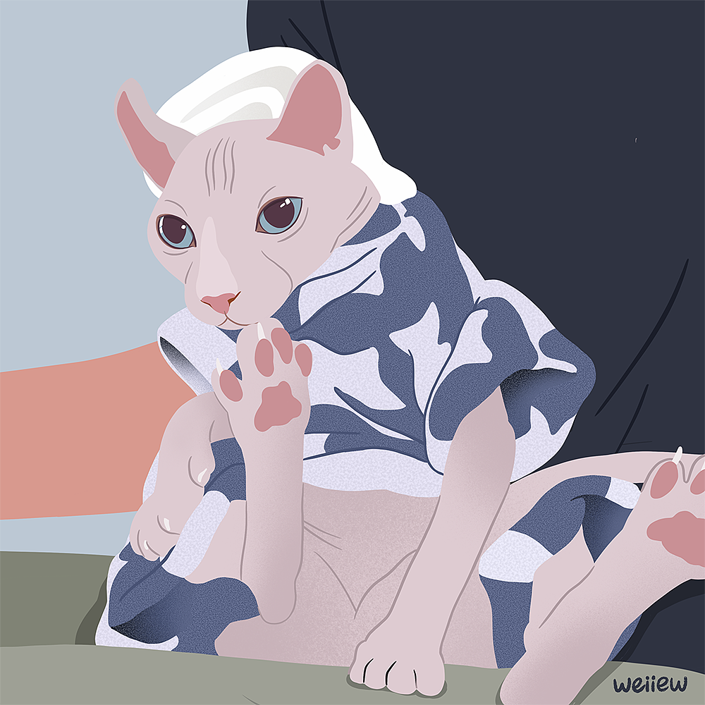 2021画的猫（图ZMjgzNTE4ODE2） - 艺术插画 - 站酷设计师童壮壮weiiew原创素材 - 站酷ZCOOL
