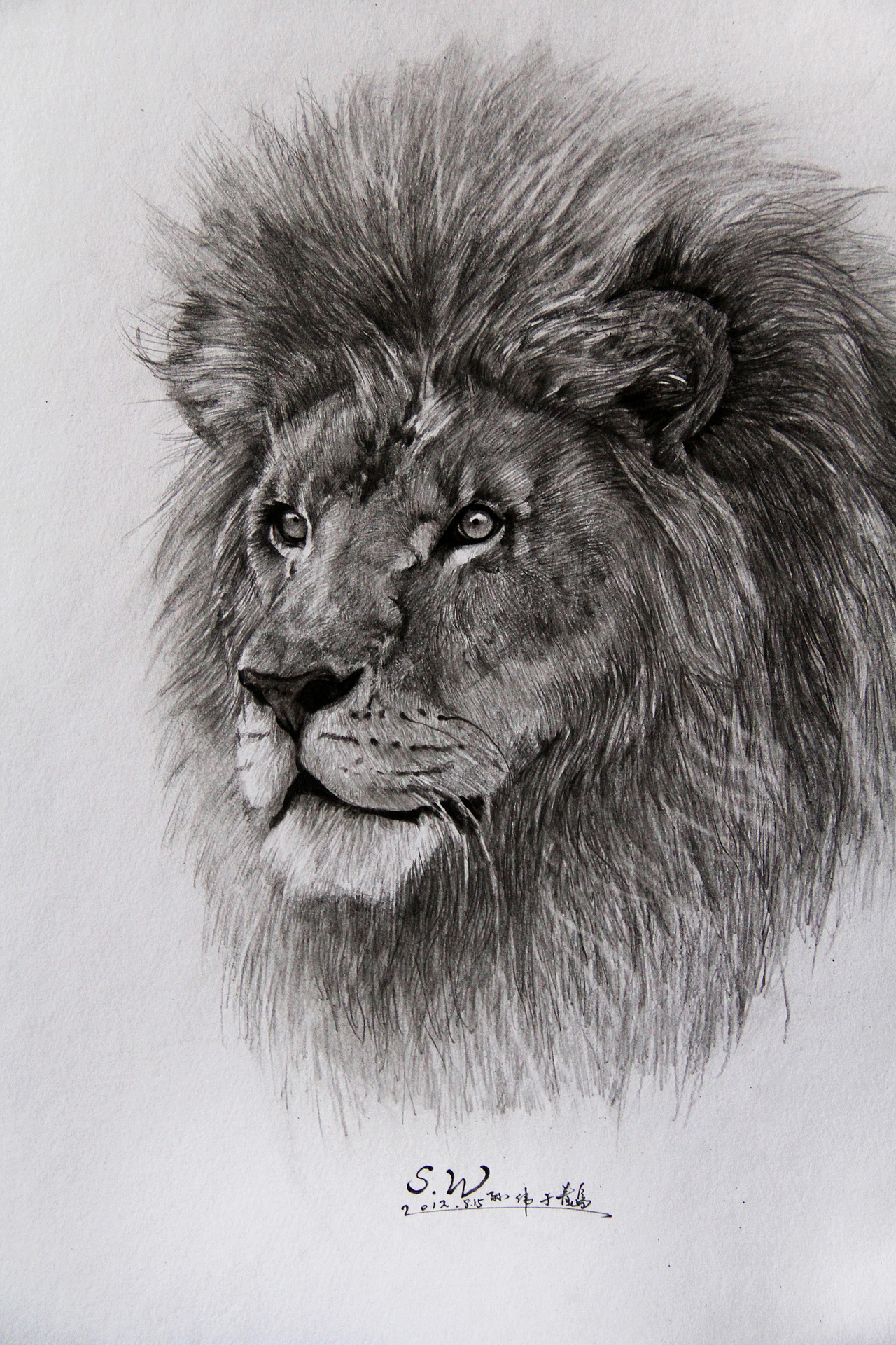 动物系列|插画|商业插画|画徒子小伟_原创作品-站酷zcool