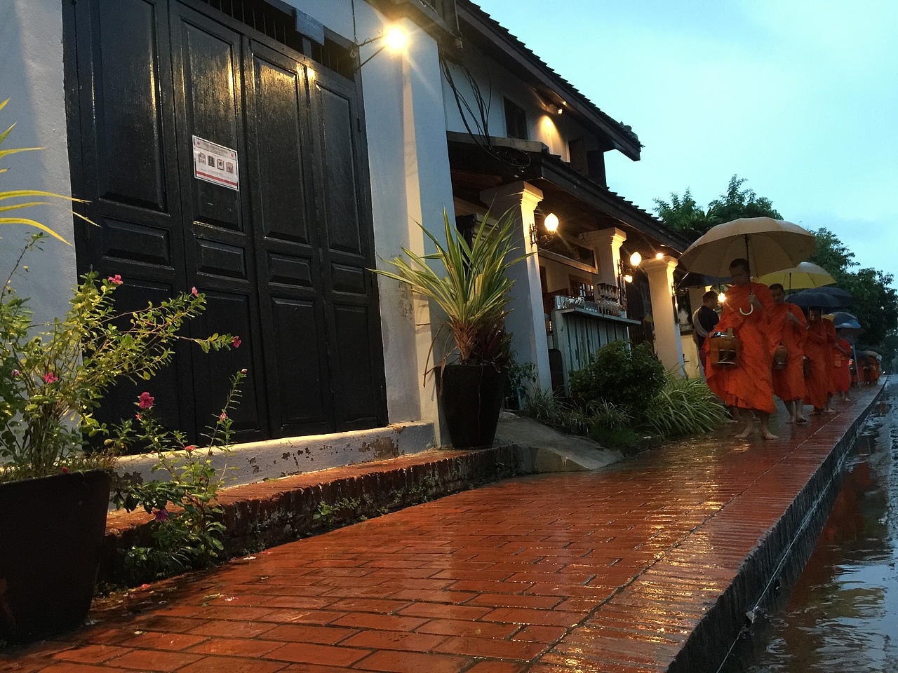 琅勃拉邦清晨布施