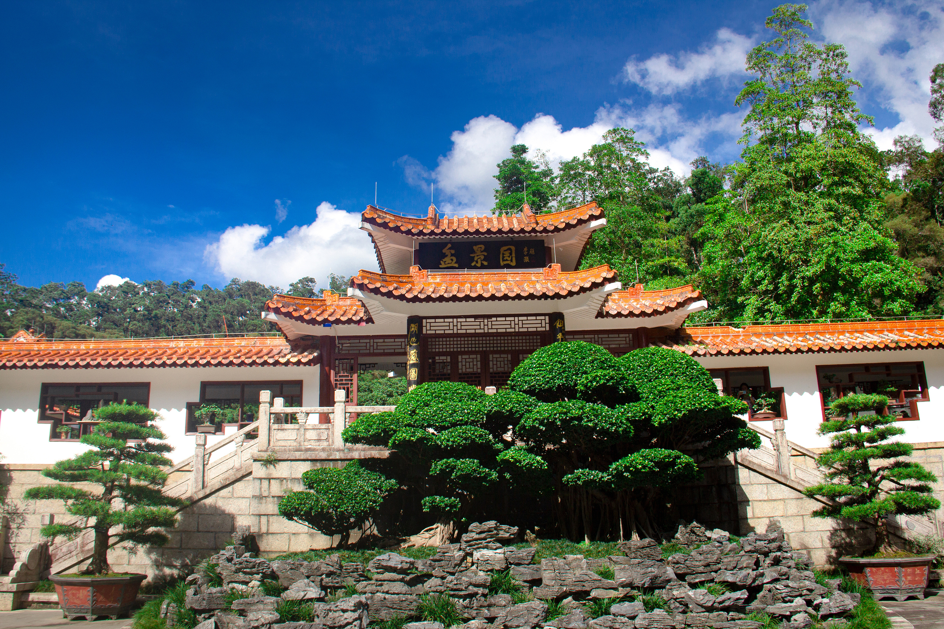 个人室外摄影-"深圳仙湖植物园"