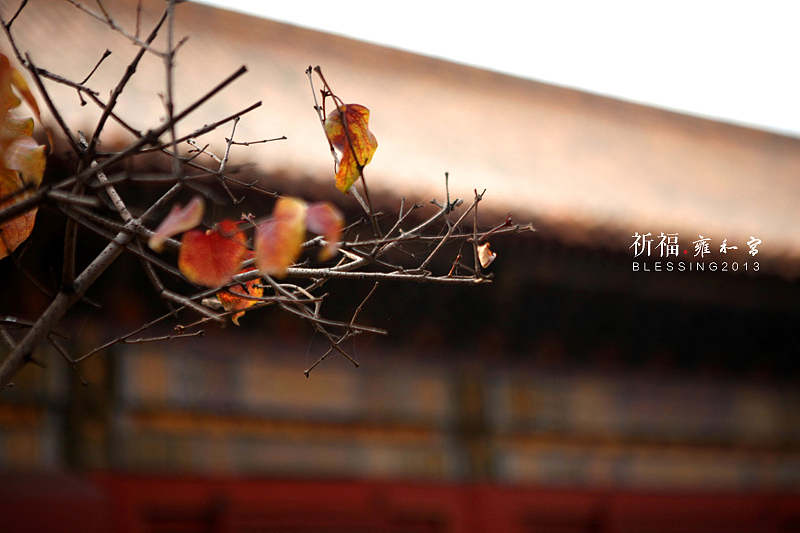祈福.雍和宫（图ZMTI0Njk2NTY=） - 风光摄影 - 站酷设计师流景原创素材 - 站酷ZCOOL