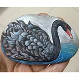 解药Y的头像