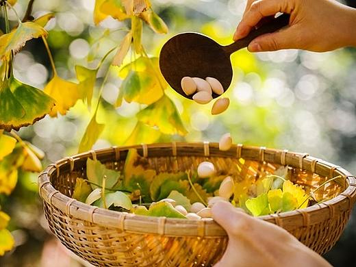 银杏白果 津黄韵容