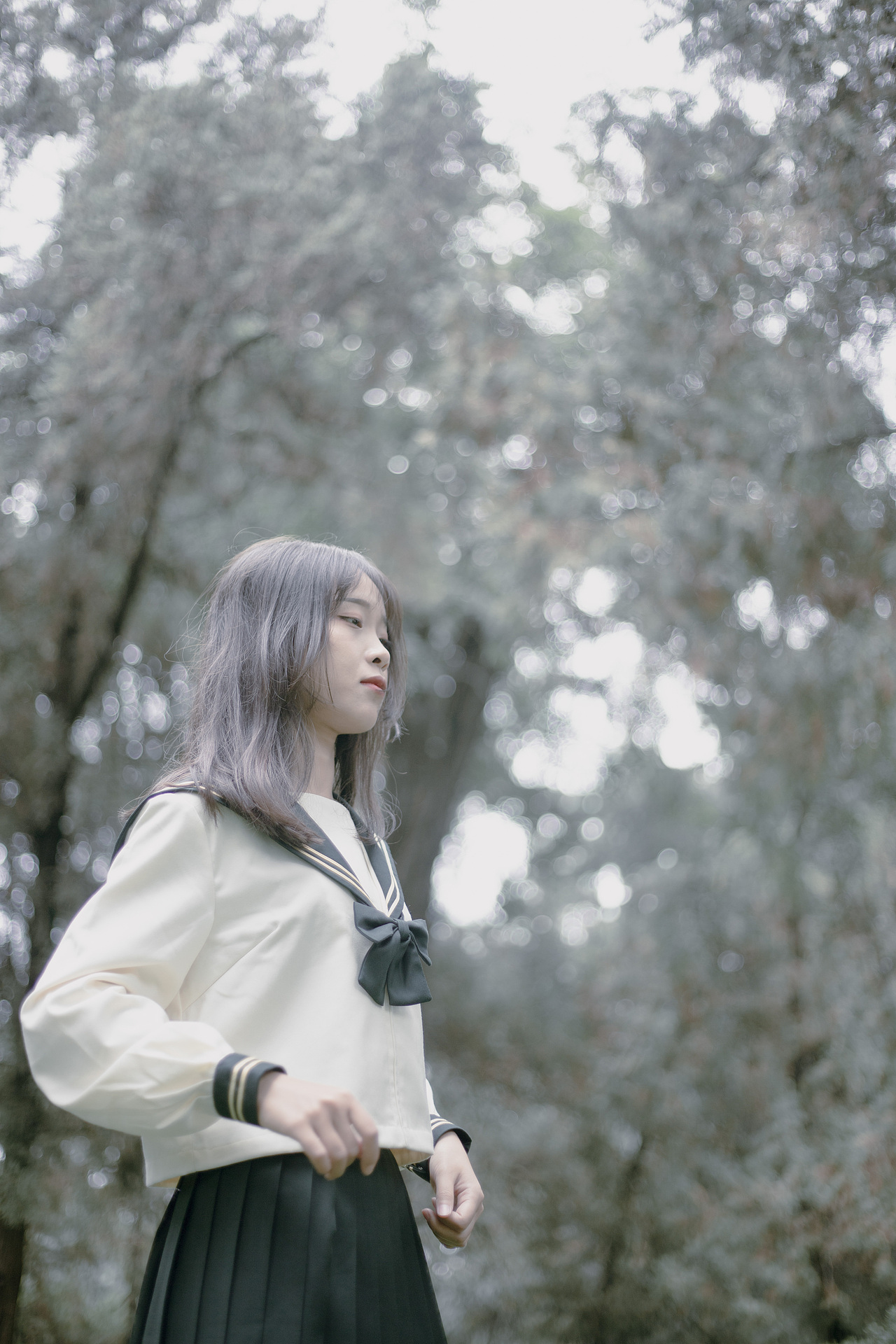 记忆森林（图ZMTk5MjY1NjY4） - 人像摄影 - 站酷设计师清风少年原创素材 - 站酷ZCOOL